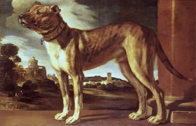 Portrait of a Dog by Giovanni Francesco Barbieri